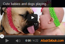 Beraber Oynayan Bebek ve Köpekler