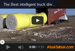 Görebileceğiniz en zeki kamyon şoförü