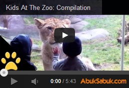 Hayvanat Bahçesindeki Komik Çocuklar 